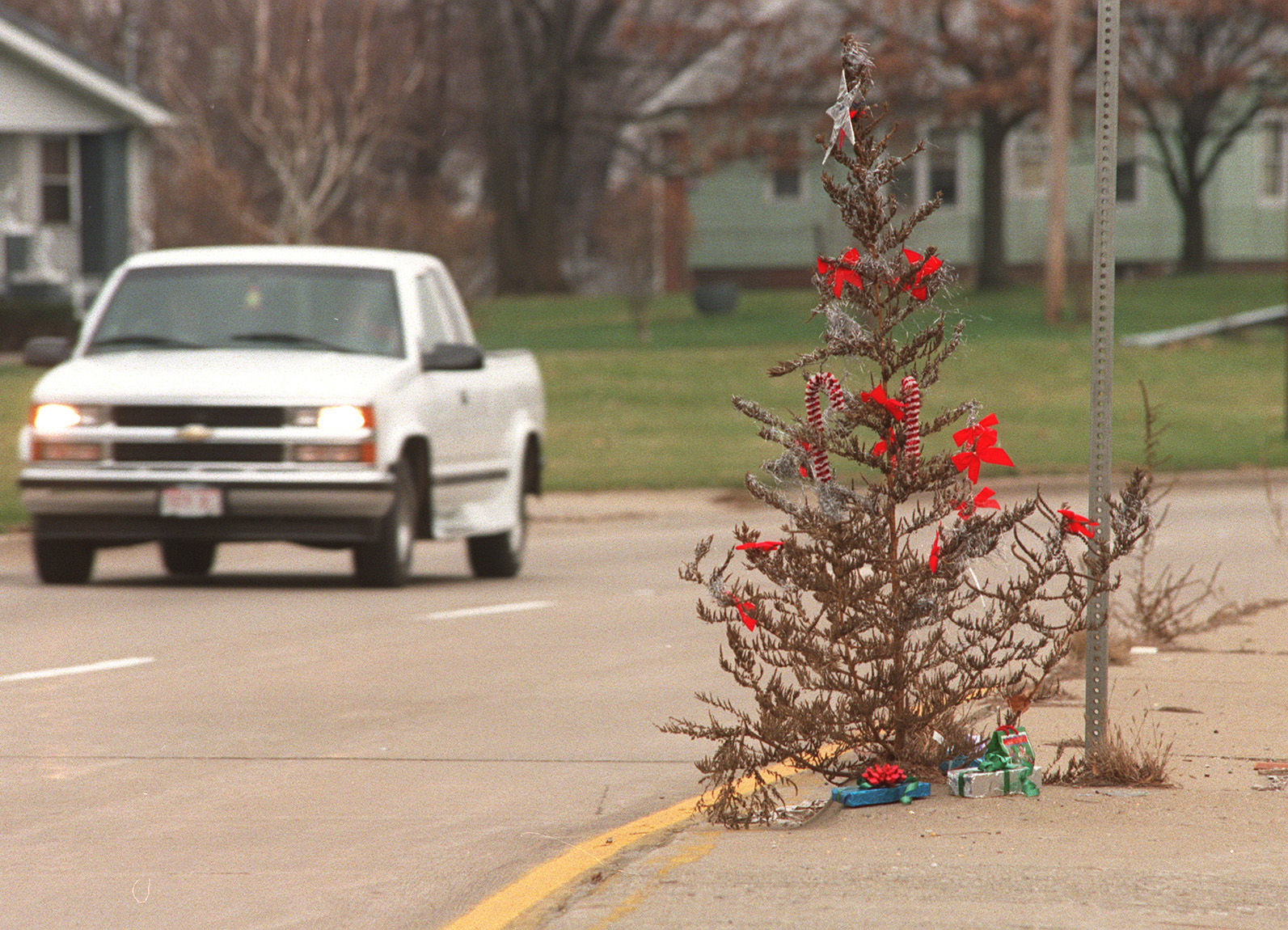 Yule weed offers holiday smile